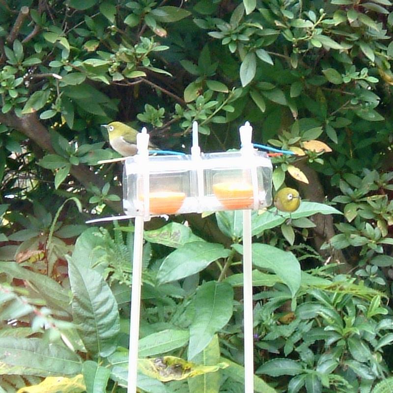 ペットボトルで作った野鳥の餌台